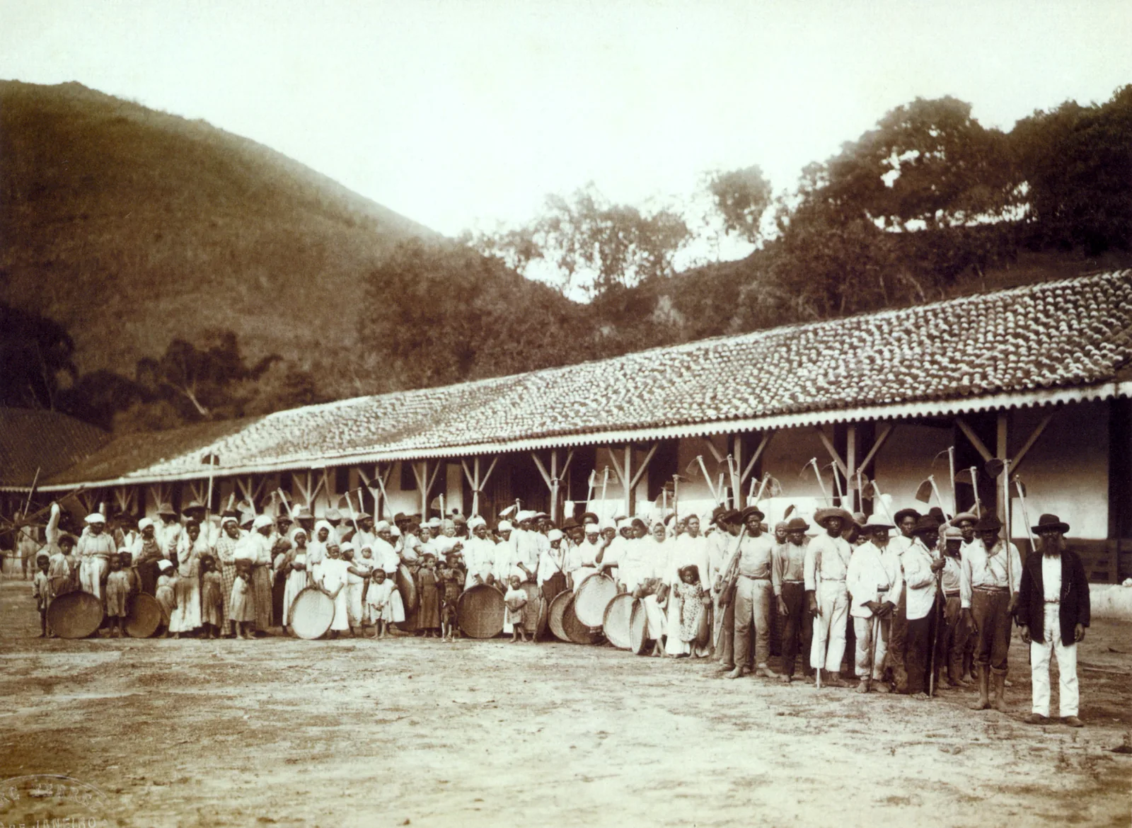 Plus de cent personnes asservies, femmes, hommes et enfants, alignées sur la terre battue devant la longue senzala couverte de tuiles d'une fazenda de café, montagne boisée en arrière-plan. Beaucoup tiennent devant elles le grand tamis rond qui sert à vanner le café, les hommes du groupe de droite portent la houe sur l'épaule, et un contremaître barbu vêtu de blanc se tient à l'écart au bout de la ligne. La photographie date des trois dernières années de l'esclavage au Brésil, aboli en 1888.