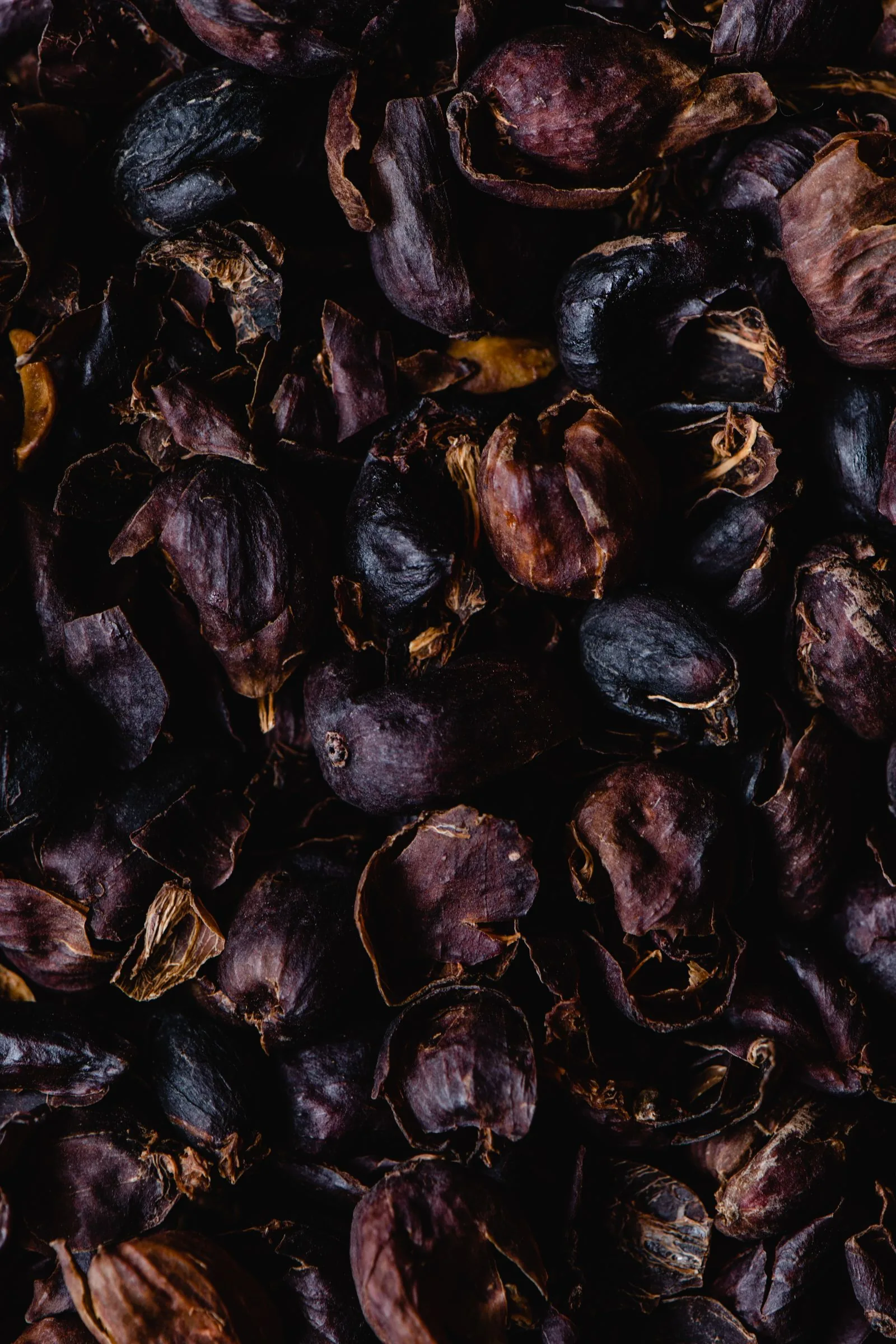 Gros plan sur un amas de peaux de fruits séchées, brun sombre à violacé, recroquevillées les unes sur les autres.