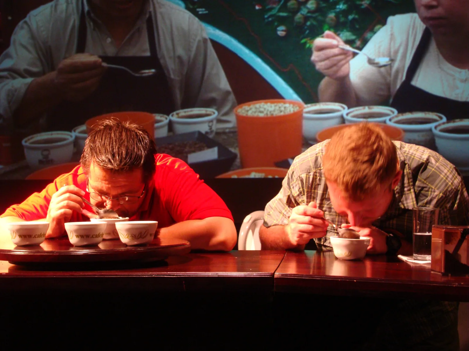 Deux hommes penchés sur une table de dégustation aspirent le café à la cuillère, devant des bols alignés et des coupelles d'échantillons de grains.