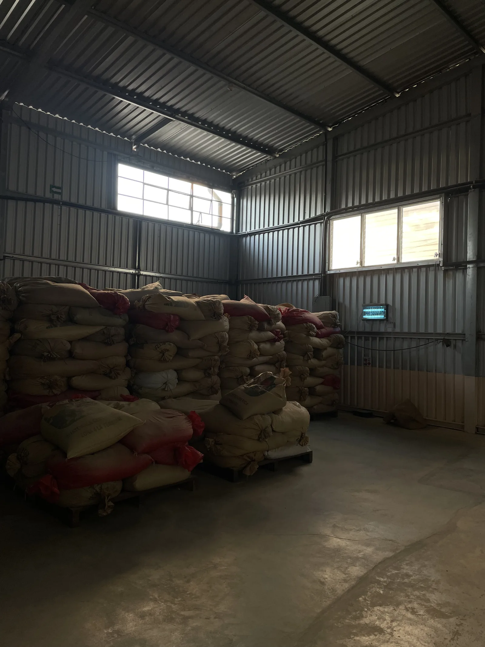 Entrepot de cafe vert, sacs de jute empiles