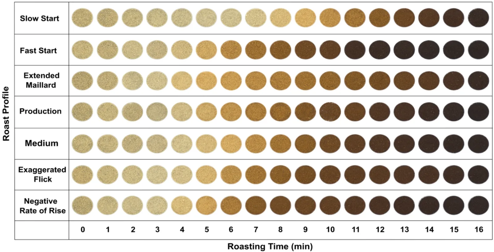 Grille de pastilles de café moulu, une ligne par profil de torréfaction et une colonne par minute de 0 à 16, la teinte passant du beige clair au brun très foncé le long de chaque ligne.