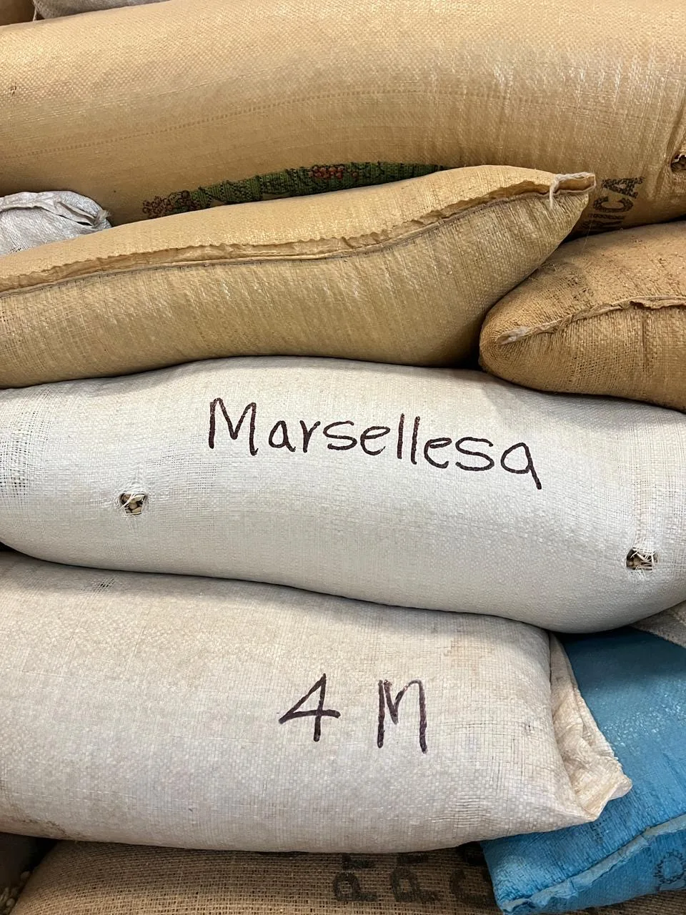 Sacs de Marsellesa marques a la main dans un entrepot