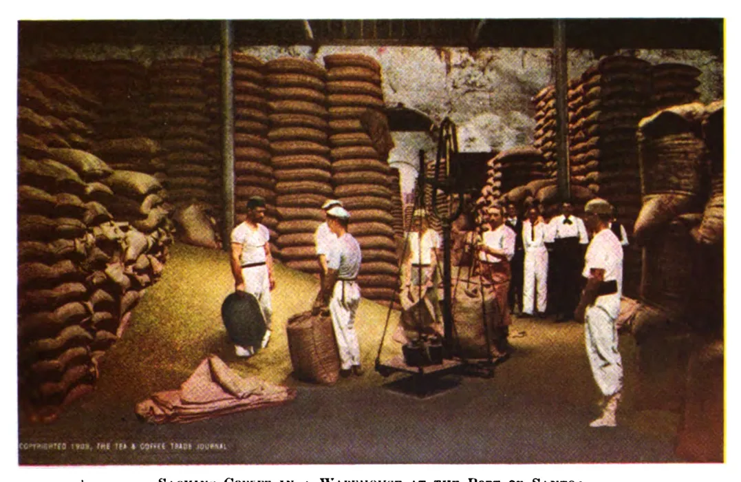 Cueillette et ensachage au Brésil