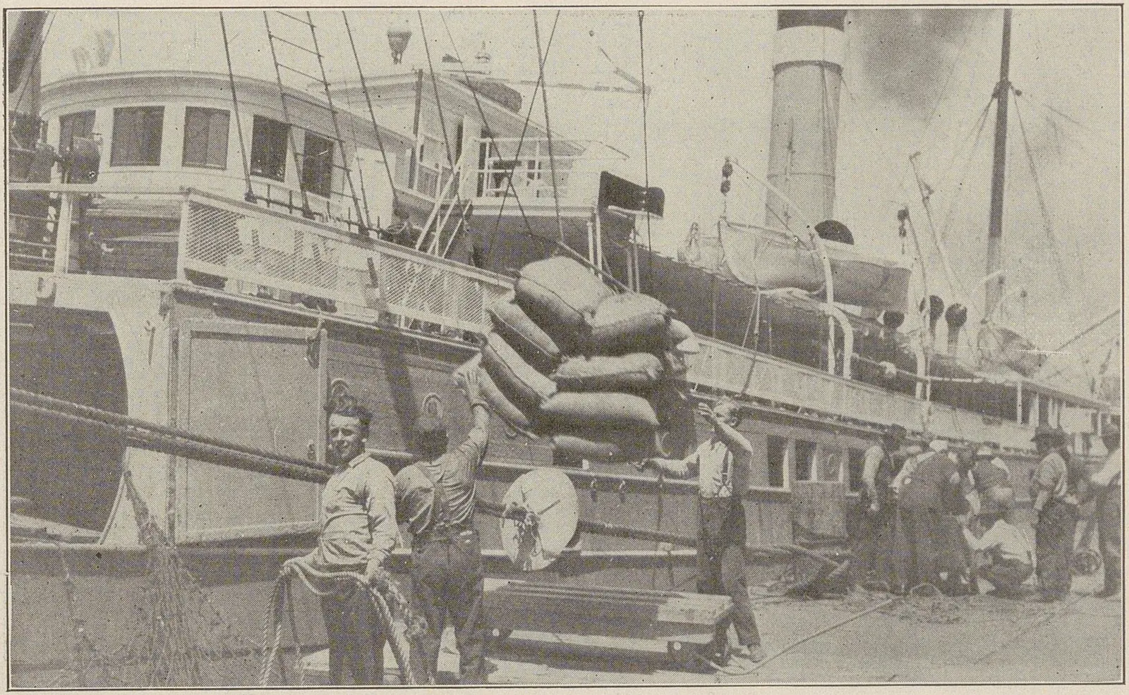 Vapeur à quai dont les palans descendent des élingues de sacs de café vers un groupe de dockers.