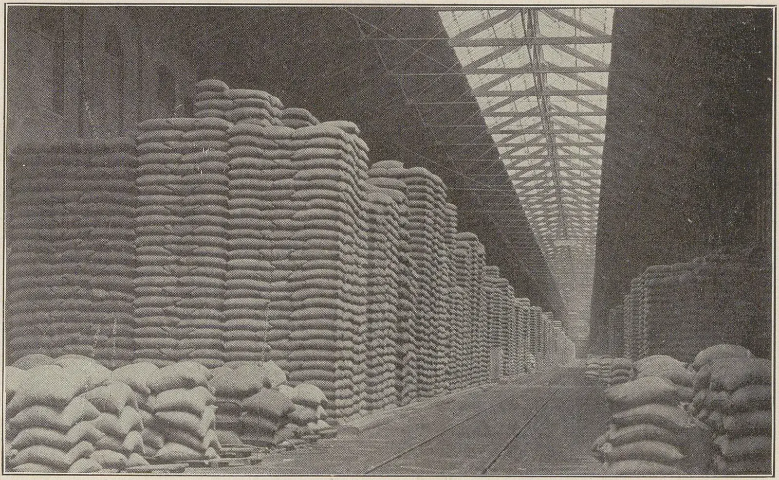 Longues travées d'un hangar portuaire où les sacs de café sont empilés jusqu'à la charpente.