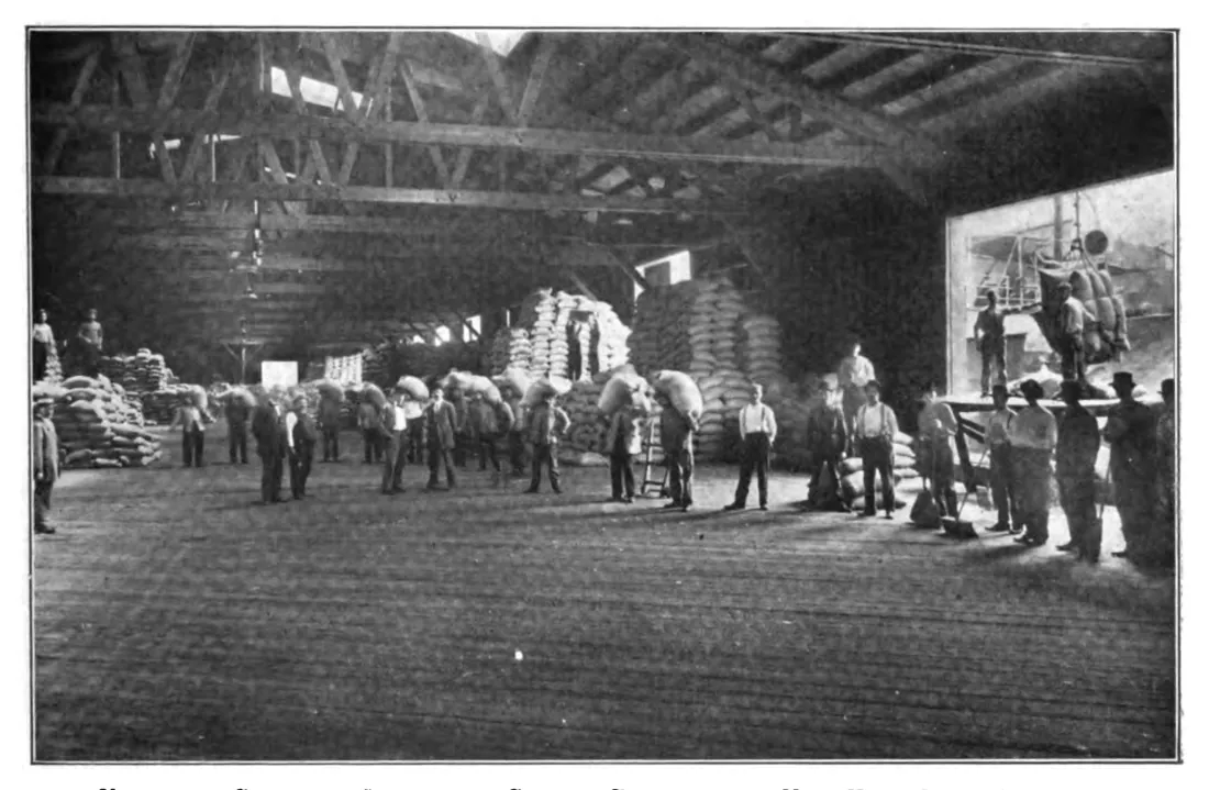 Déchargement sous les hangars couverts de la New York Dock Company