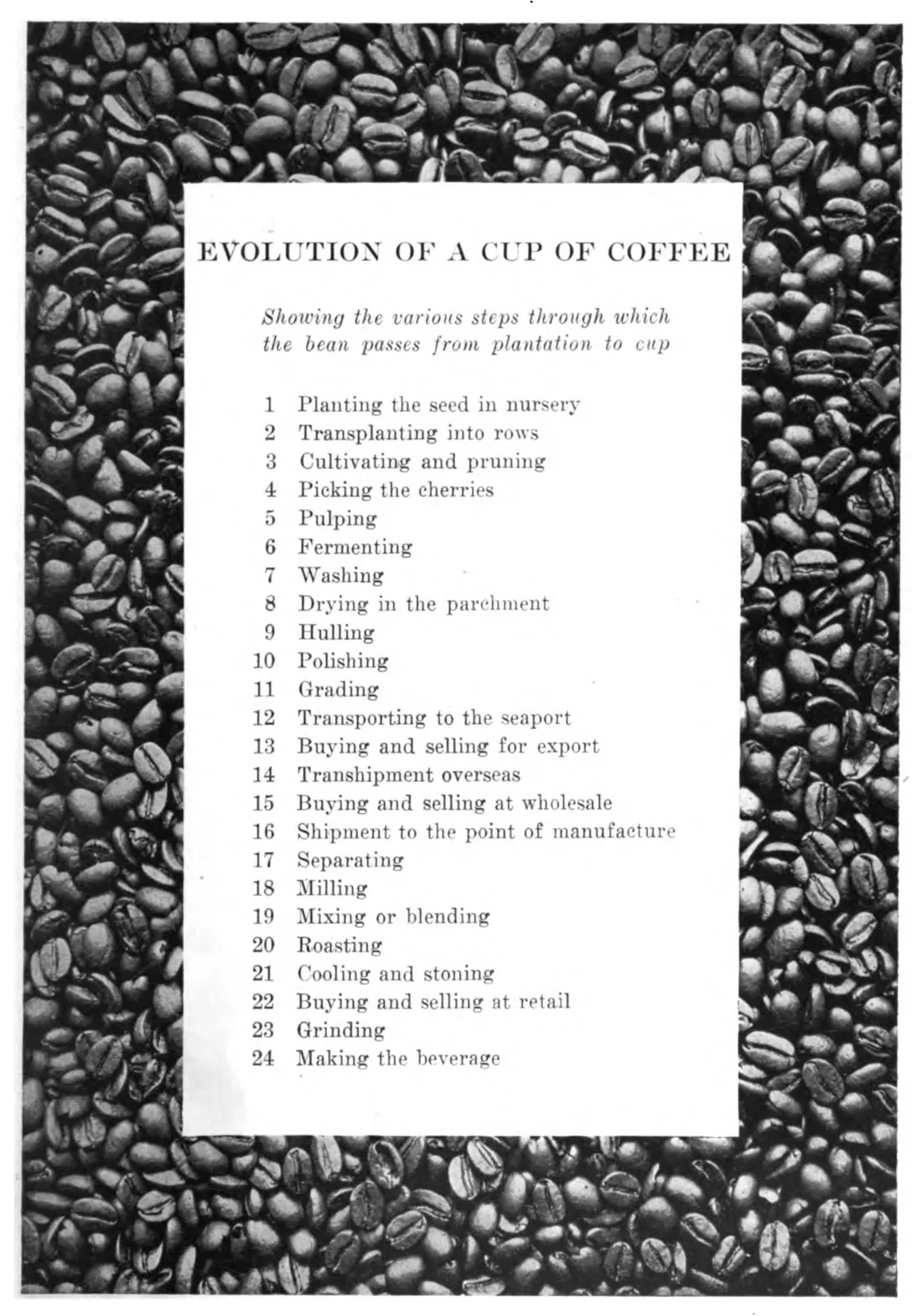L'évolution d'une tasse de café : les opérations qui séparent la graine de la tasse