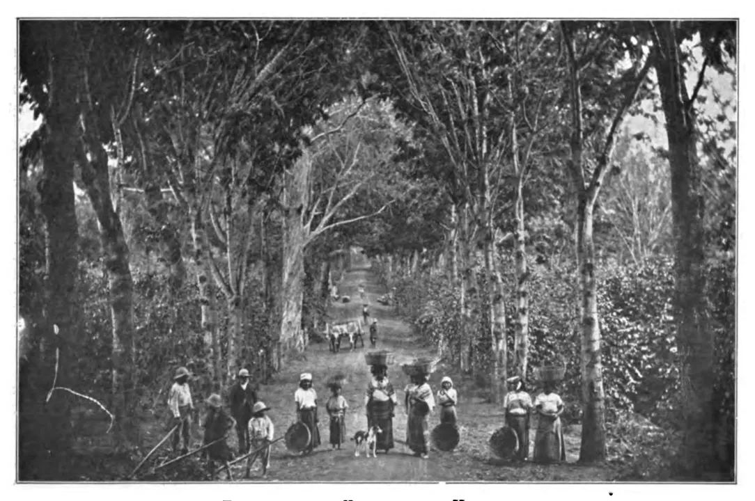 Entrée d'une finca des hautes terres du Guatemala