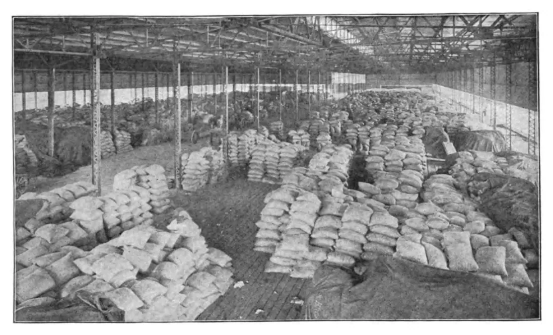 Le café sous les hangars d'acier de La Nouvelle-Orléans