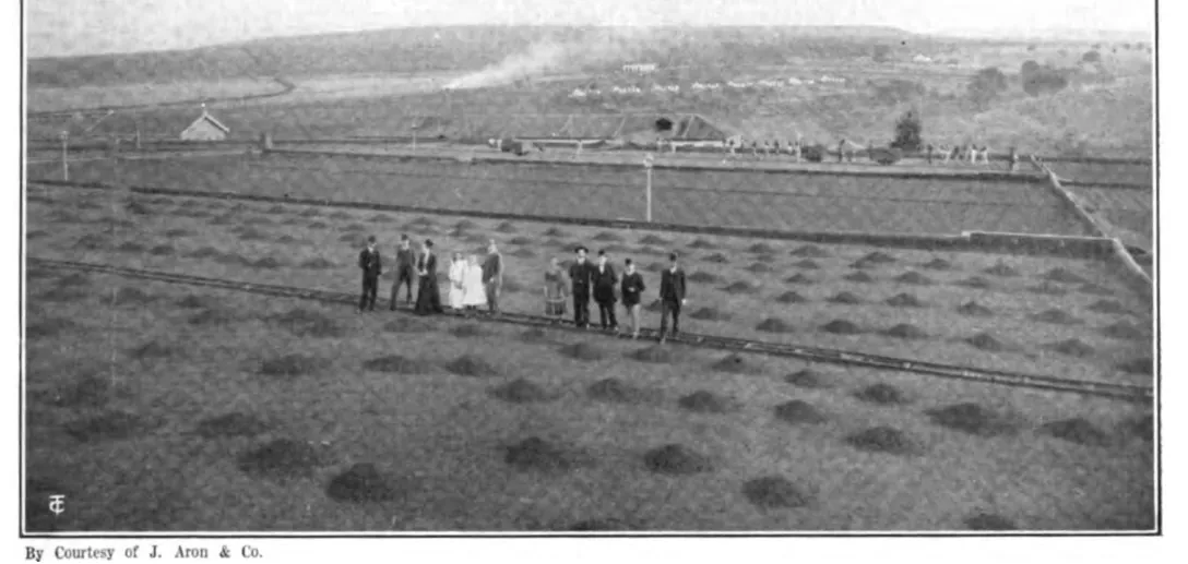 Aires de séchage de la fazenda Schmidt, la plus grande du Brésil