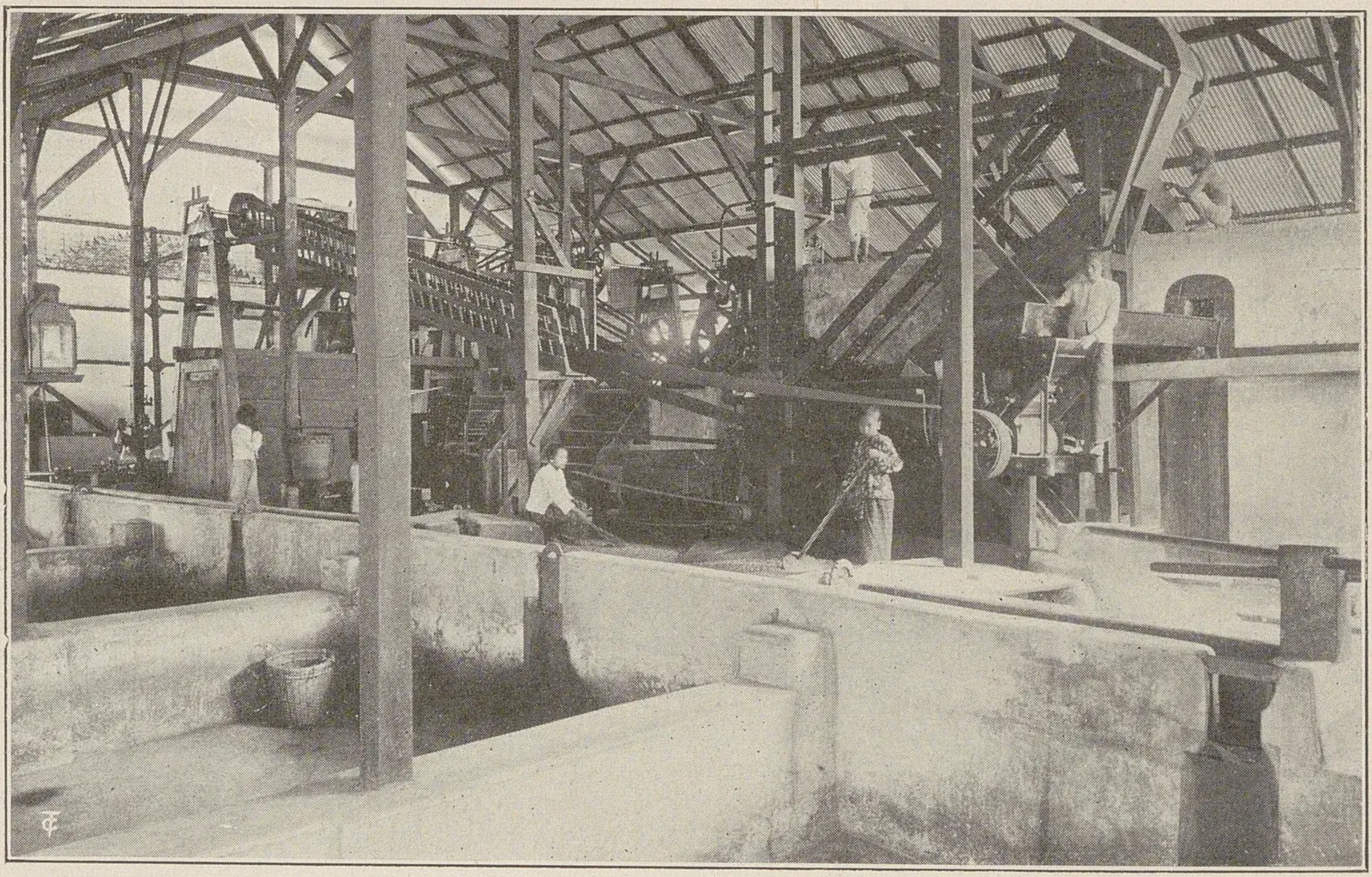 Halle couverte à charpente de bois abritant des machines de traitement et des canaux de lavage maçonnés.
