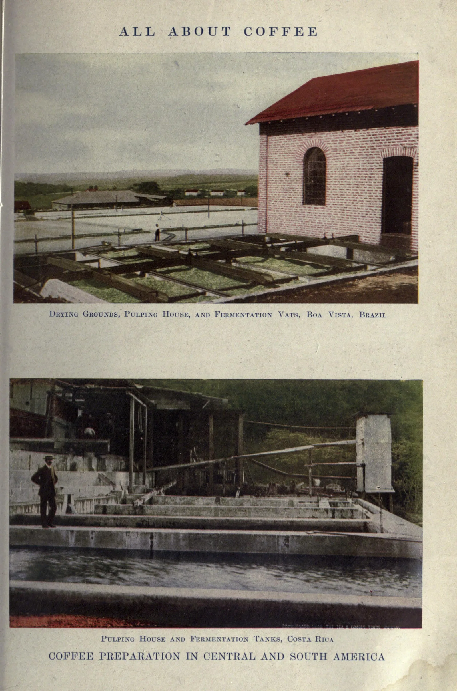 Une planche pleine page qui superpose deux photographies. En haut, la fazenda Boa Vista au Brésil : les aires de séchage en damier, le bâtiment de dépulpage et, alignés contre lui, les bacs de fermentation. En bas, une station du Costa Rica où les mêmes bacs, longs bassins rectangulaires de maçonnerie, courent au pied du hangar à machines ; on distingue les rigoles qui les alimentent et les hommes qui les brassent.