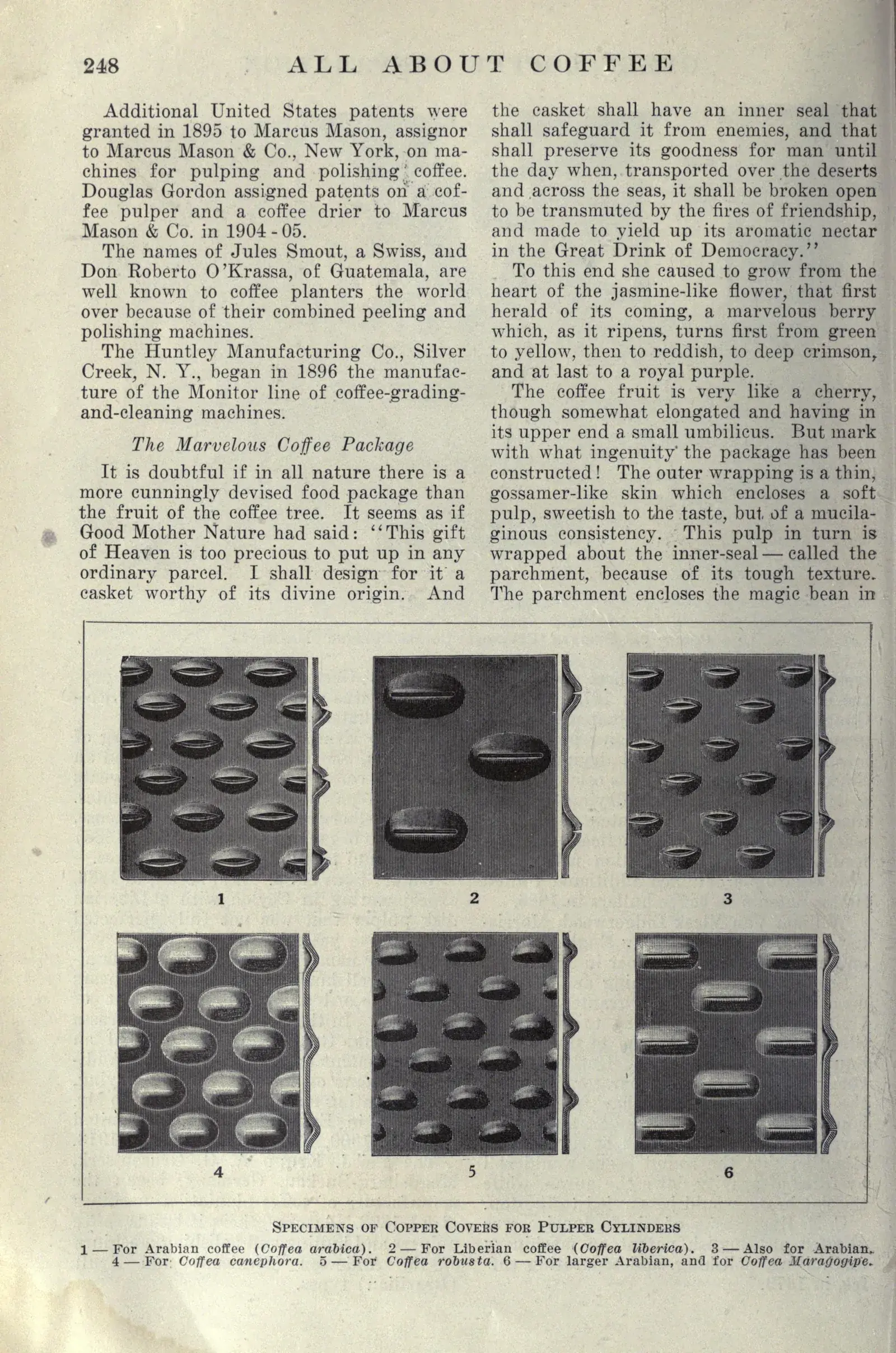 En bas de page, six rectangles numérotés montrent à plat le relief des chemises de cuivre dont on habille le cylindre d'une dépulpeuse : bossages ovales plus ou moins serrés, plus ou moins hauts. La légende attribue chaque modèle à une espèce ou à un calibre, l'arabica ordinaire, le liberica, le robusta, le maragogype. Le même fruit n'ayant pas la même taille selon l'espèce, la peau ne s'arrache pas avec le même grain.