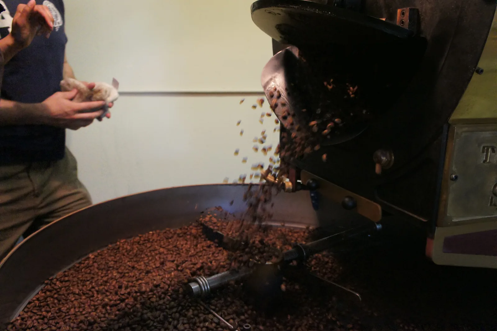 À la fin de la cuisson, les grains torréfiés s'échappent de la chambre du torréfacteur et tombent dans le bac ; le torréfacteur tient un échantillon dans la main.