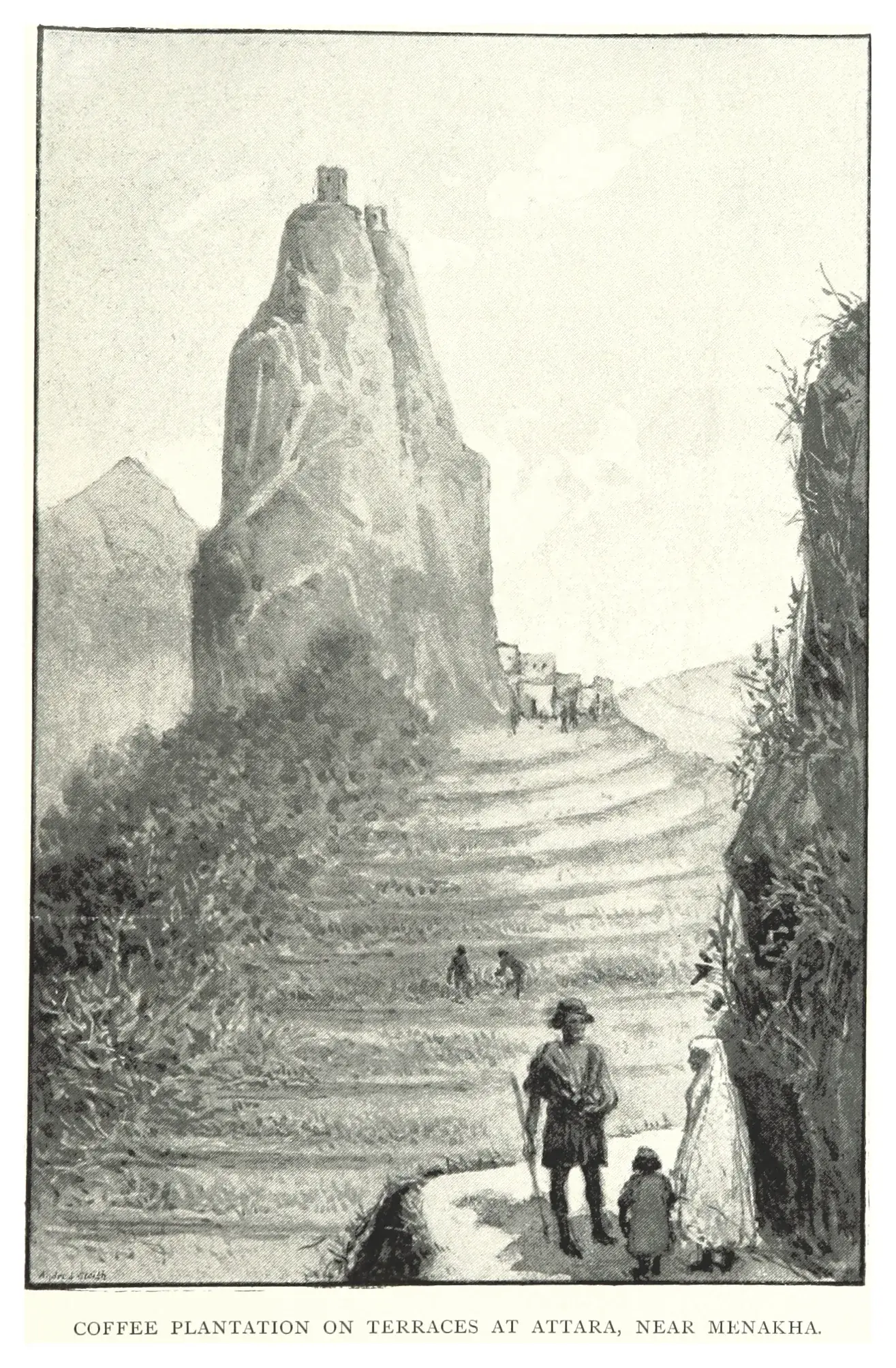 Illustration en noir et blanc d'un ouvrage de voyage de 1893, légendée en anglais. Un escalier de terrasses étroites plantées de caféiers remonte un vallon vers un village accroché à la roche, dominé par un piton de grès couronné d'une tour de guet. Deux hommes travaillent à mi-pente sur une banquette ; au premier plan, un homme armé d'un bâton, un enfant et une femme voilée montent le sentier. La planche montre ce que les photographies du café montrent rarement : une caféiculture de montagne bâtie en gradins de pierre sèche.